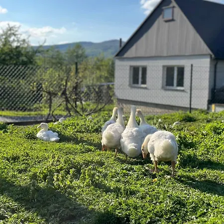 Badz Blisko * Jurkow (Limanowa)