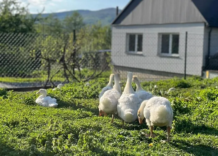 Badz Blisko * Jurkow (Limanowa)